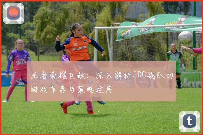 王者荣耀巨献：深入解析JDG战队的游戏节奏与策略运用