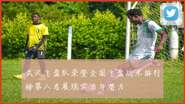 武汉飞盘队荣登全国飞盘战术排行榜第八名展现实力与潜力