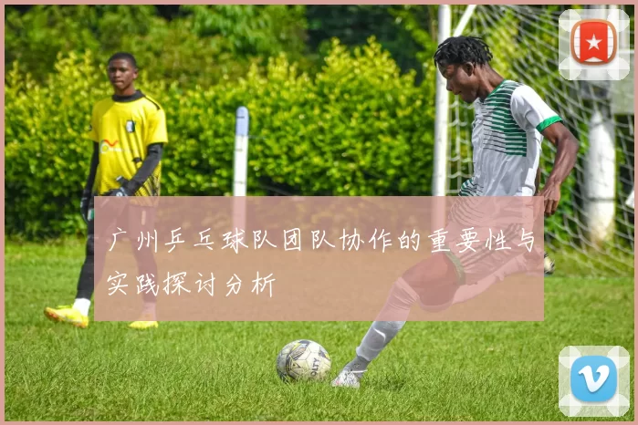 广州乒乓球队团队协作的重要性与实践探讨分析