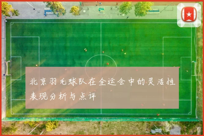 北京羽毛球队在全运会中的灵活性表现分析与点评