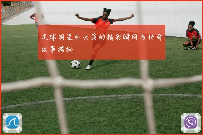 足球明星白头翁的精彩瞬间与传奇故事揭秘