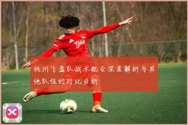 杭州飞盘队战术配合深度解析与其他队伍的对比分析