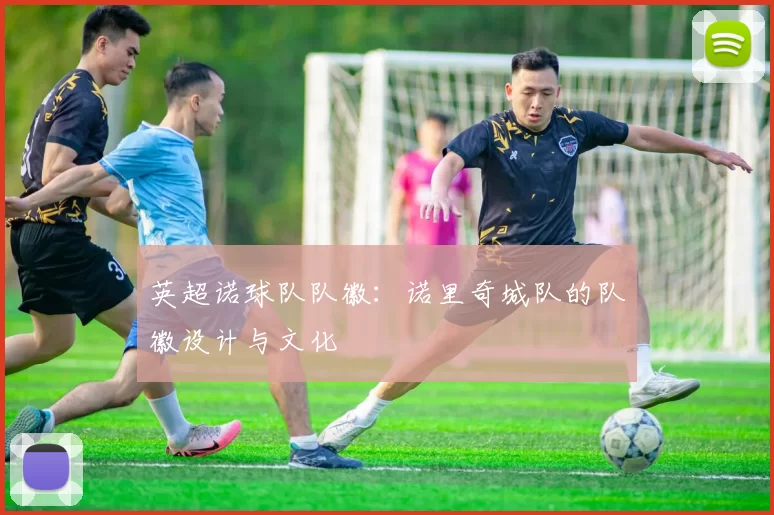 英超诺球队队徽：诺里奇城队的队徽设计与文化